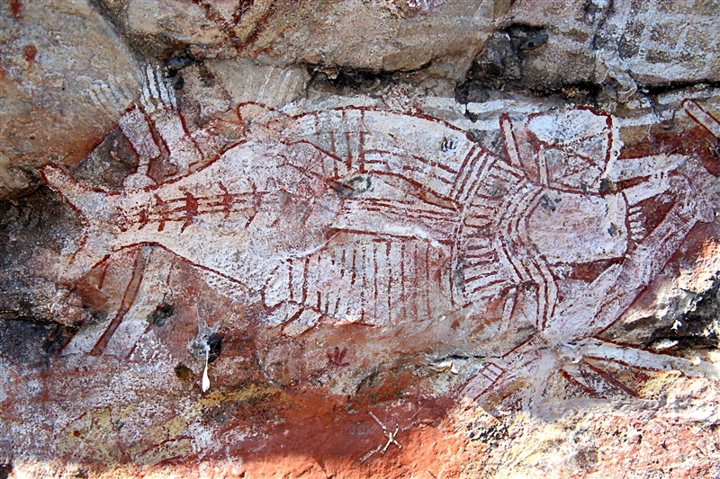 _800Mt Borradaile - Cooper Creek_5709_m - Copy